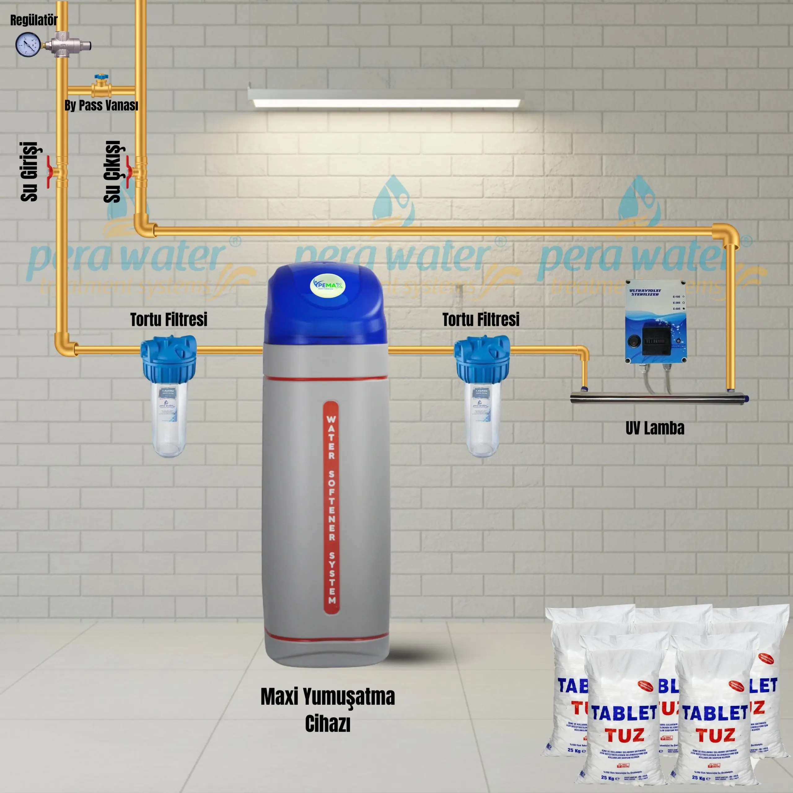 end0001 Pemax Water Solutions Beta Maxi Kabinet Kireç Önleyici Su Yumuşatma Cihazı Mavi Renkli - Görsel 1